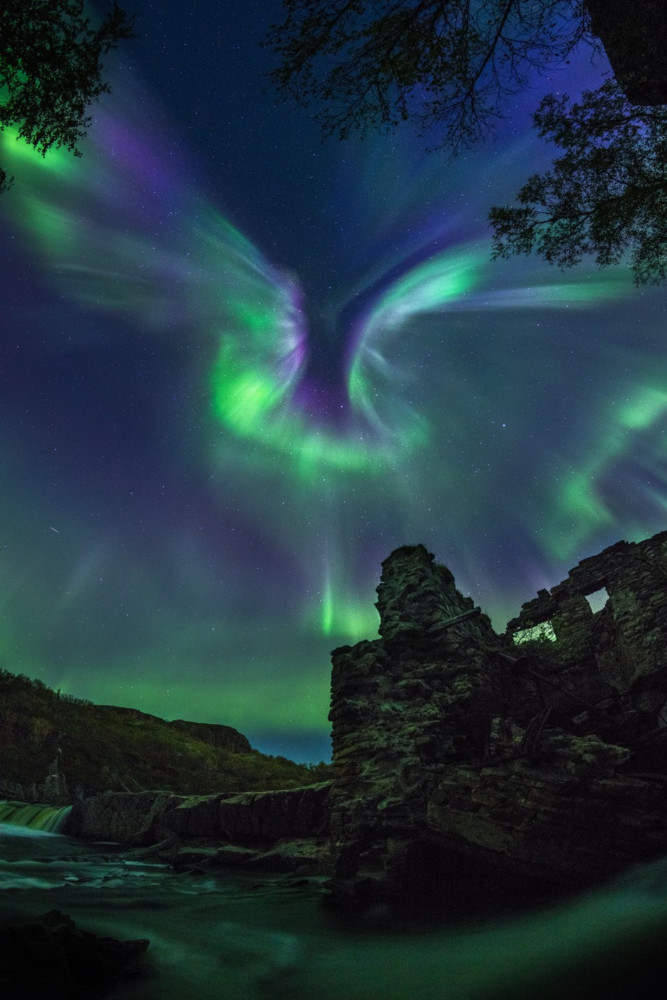 Fot. Alexander Stepanenko, &quot;Aurora is a Bird&quot;  class="wp-image-958649" 