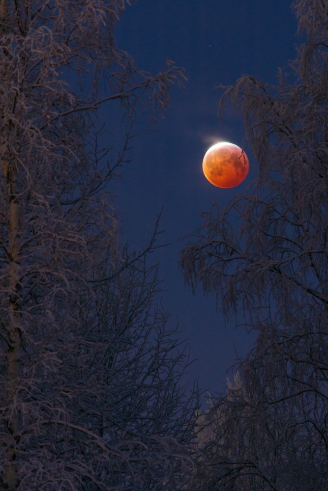 Fot. Keijo Laitala, &quot;Bloodborne&quot; class="wp-image-958652" 