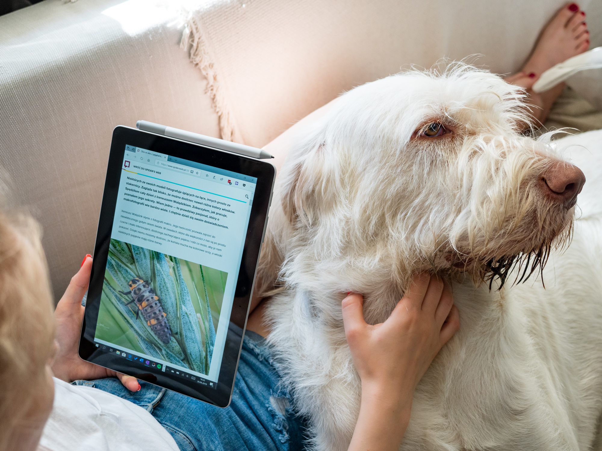 Surface Go LTE opinie class="wp-image-962165" 