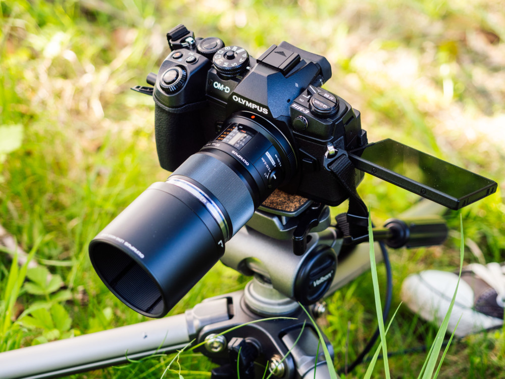 Olympus OM-D E-M1 Mark II i M.Zuiko ED 60mm F2.8. Fot. Krzysztof Basel class="wp-image-961463" 
