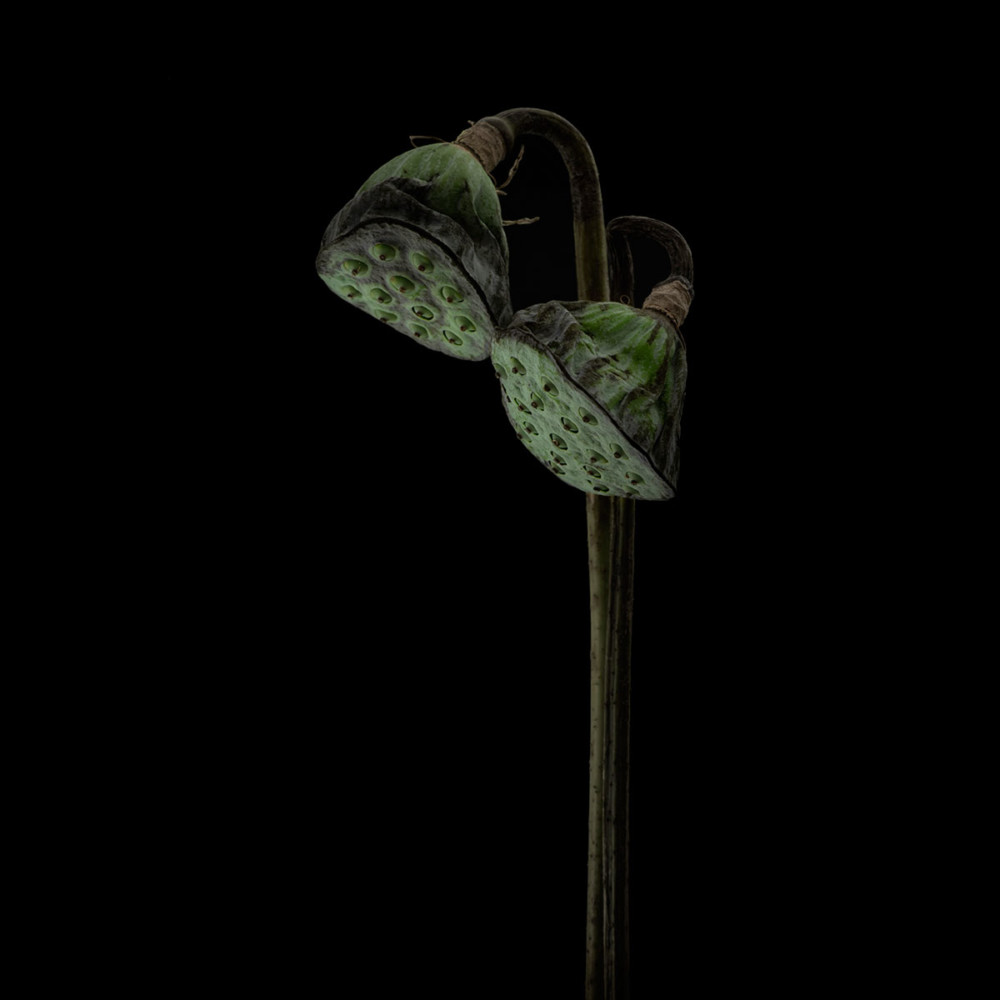 Fot. Lotte Gronkjar, Lotus Lamps class="wp-image-978901" 
