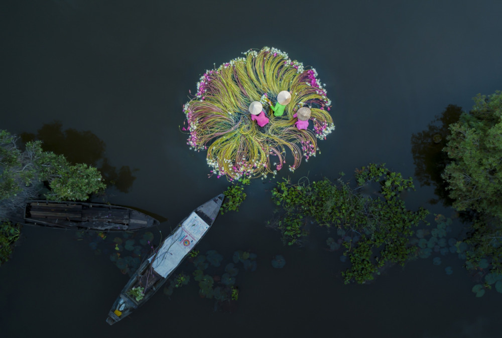 Fot. Khanh Phan / &quot;Flowers on the Water&quot; class="wp-image-970339" 