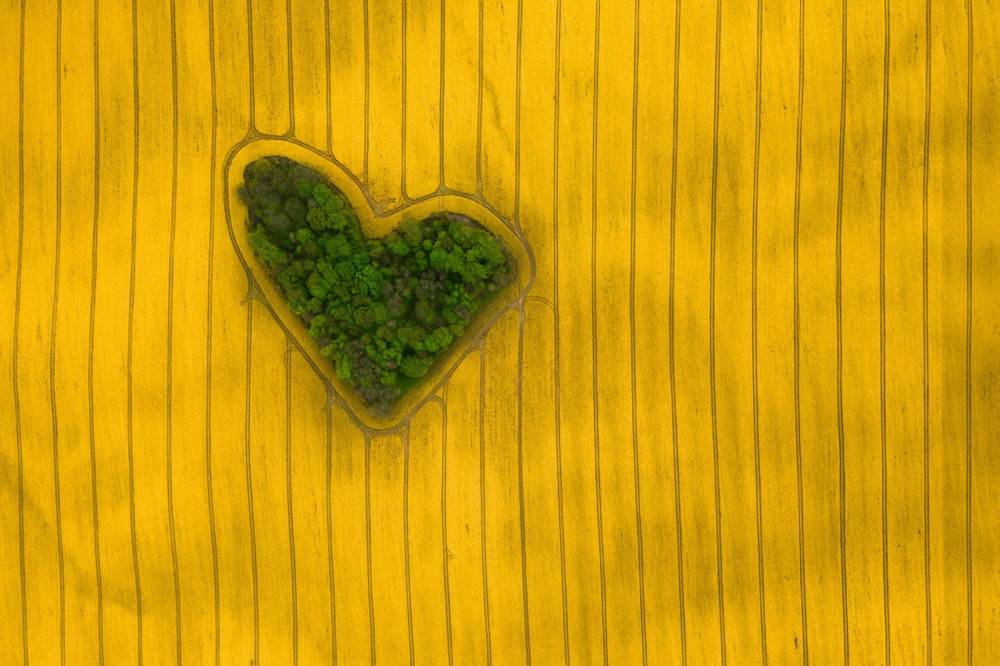 Fot. Jeremiasz Gądek, &quot;Island of Love&quot; class="wp-image-970342" 