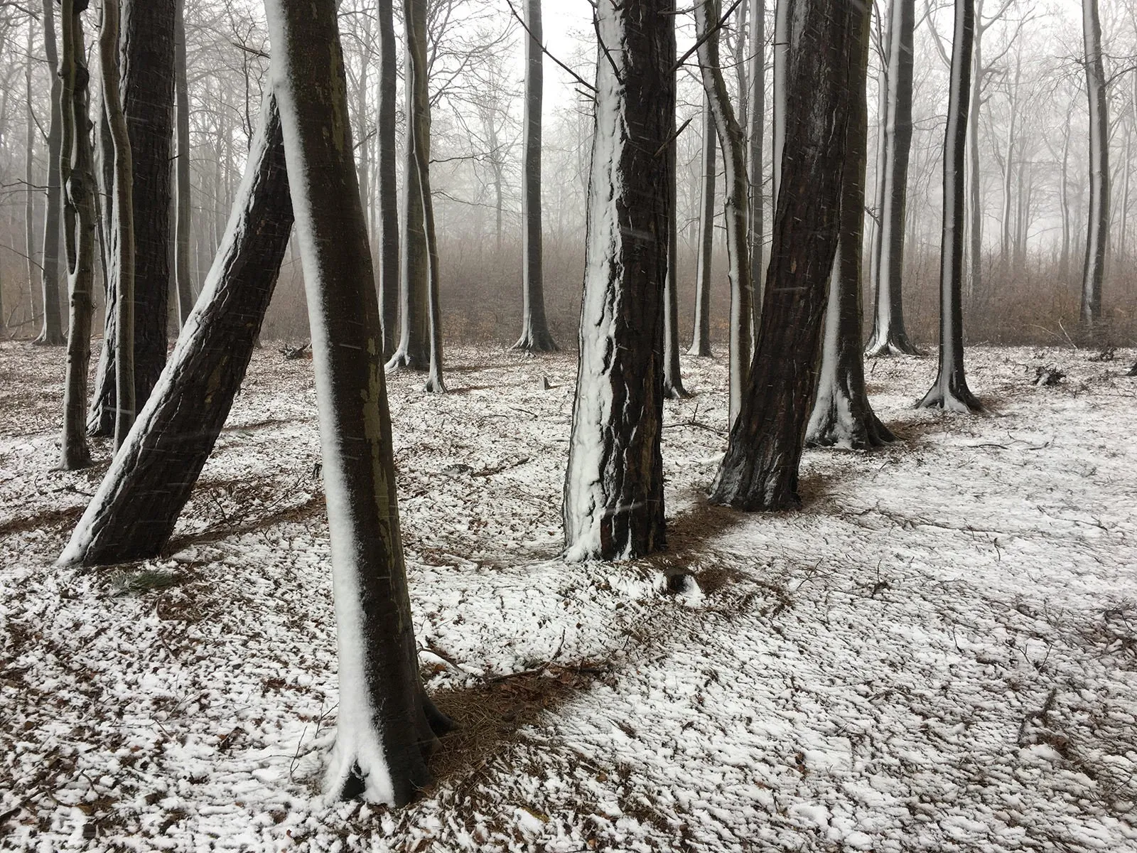 iphone photography awards 2019 class="wp-image-978238" 
