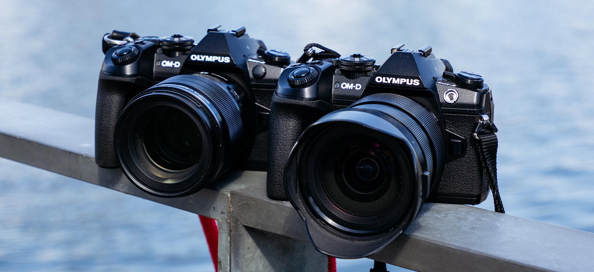 Olympus OM-D E-M1 Mark II firmware 2.1 vs 3.1