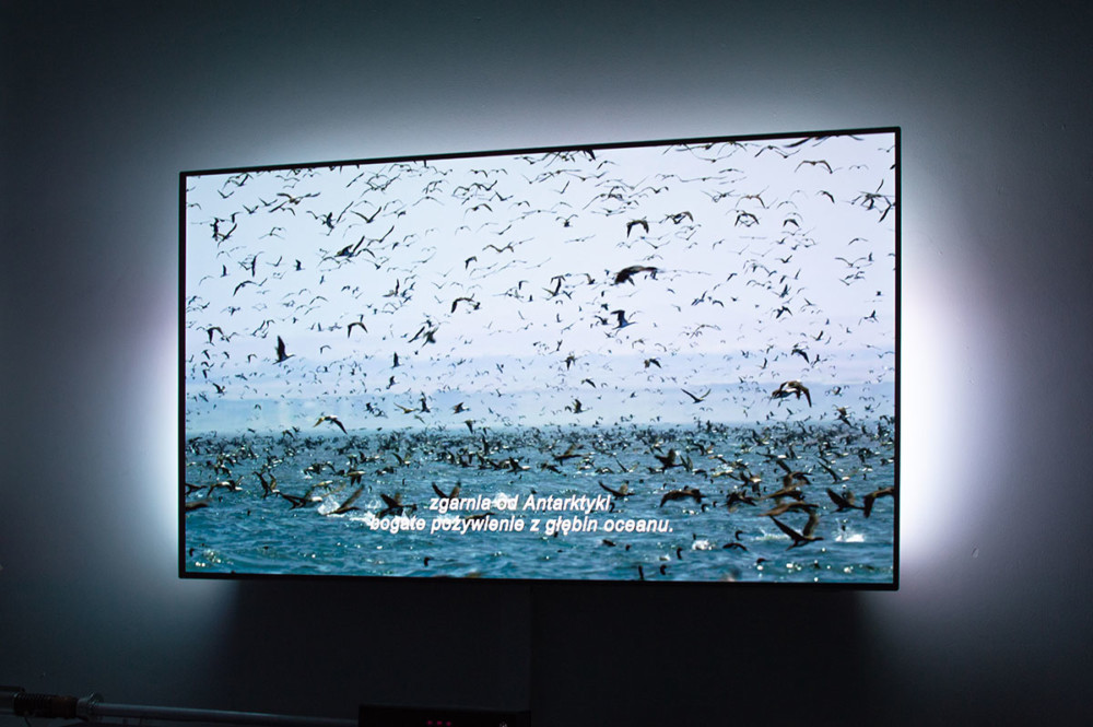 philips oled 803 recenzja class="wp-image-969358" 