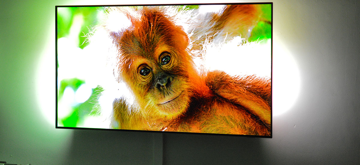 philips oled 803 recenzja