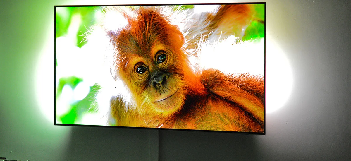 philips oled 803 recenzja