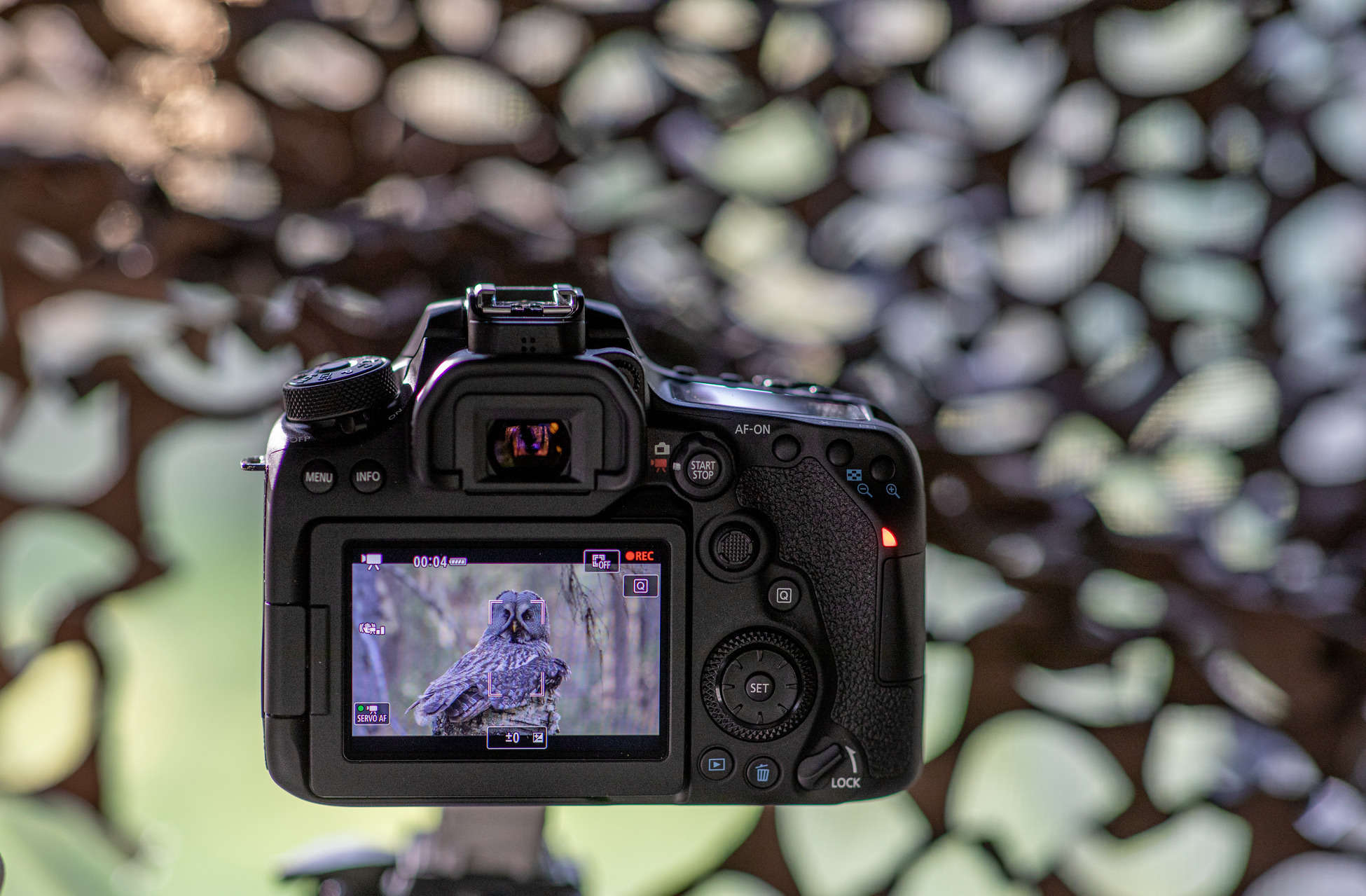 Canon EOS 90D class="wp-image-993255" 