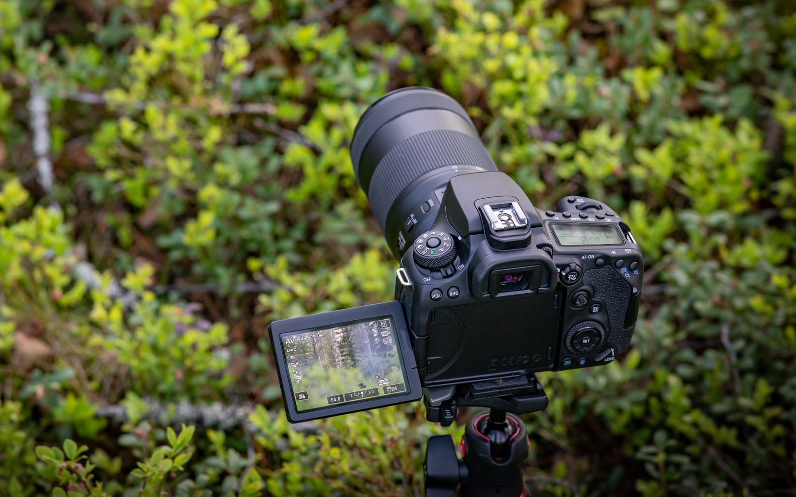 Canon EOS M6 Mark II i EOS 90D oficjalnie. Szybki maluch i lustrzanka wykrywająca oko