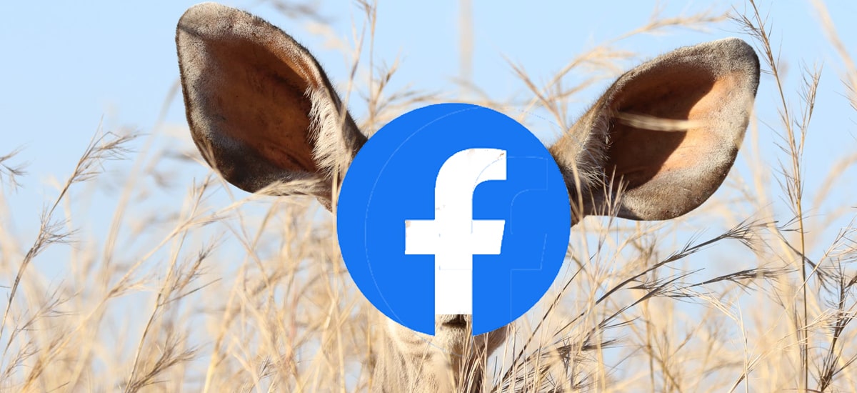 Facebook wysyła nagrania kontrahentom