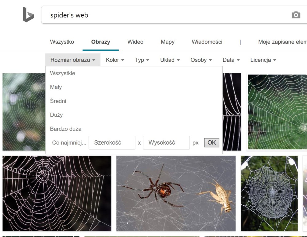 grafika google rozdzielczość class="wp-image-994521" 