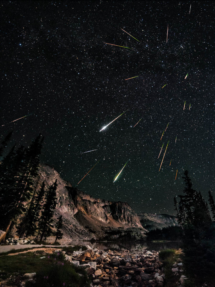 Fot. David Kingham / Flickr 