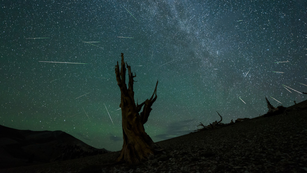Fot. Jeff Sullivan / Flickr 