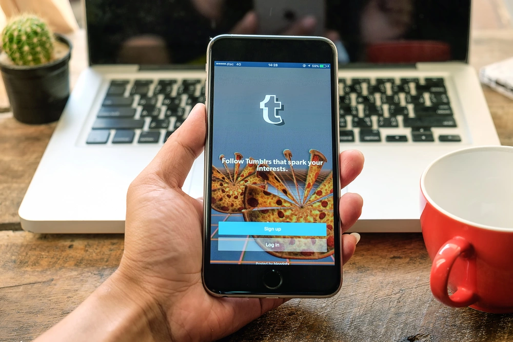 Wordpress i tumblr mają wspólnego właściciela
