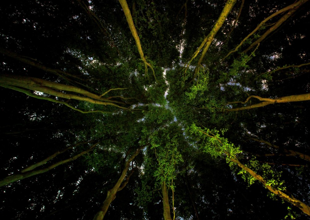 Fot. Ian Wade / Enviromental Photography Of The Year 2019 class="wp-image-1011422" 