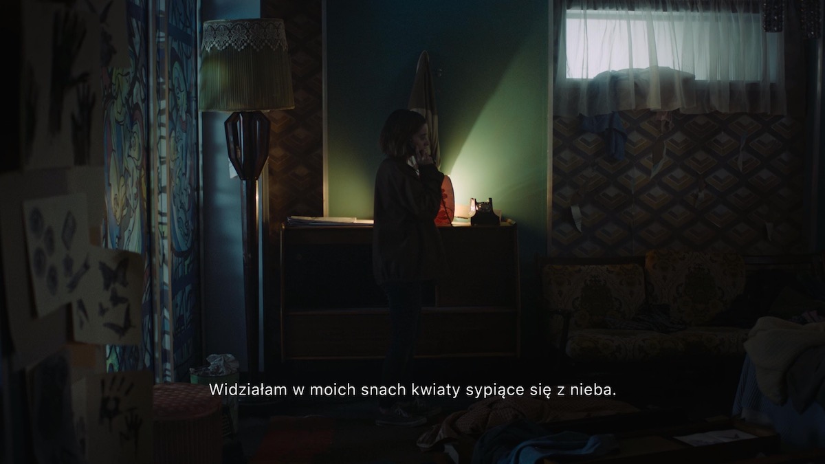 erica gra playlink playstation 4 