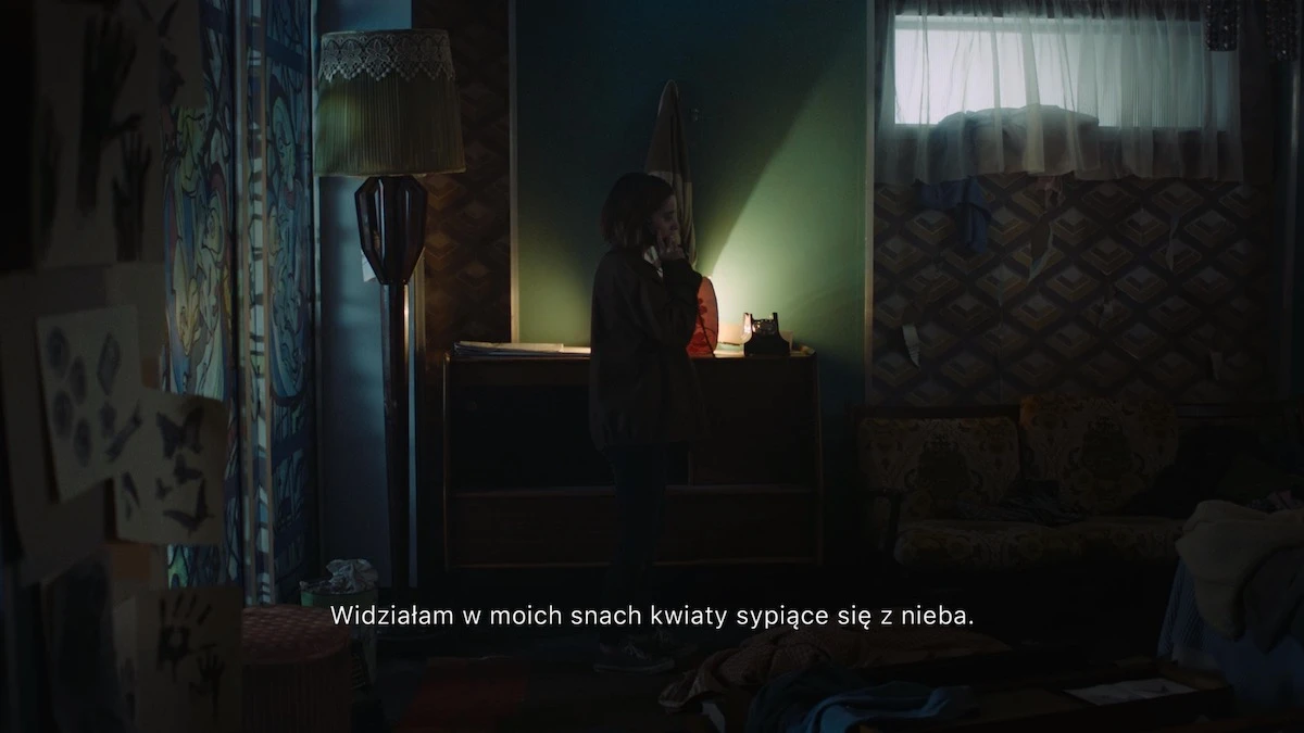 erica gra playlink playstation 4 