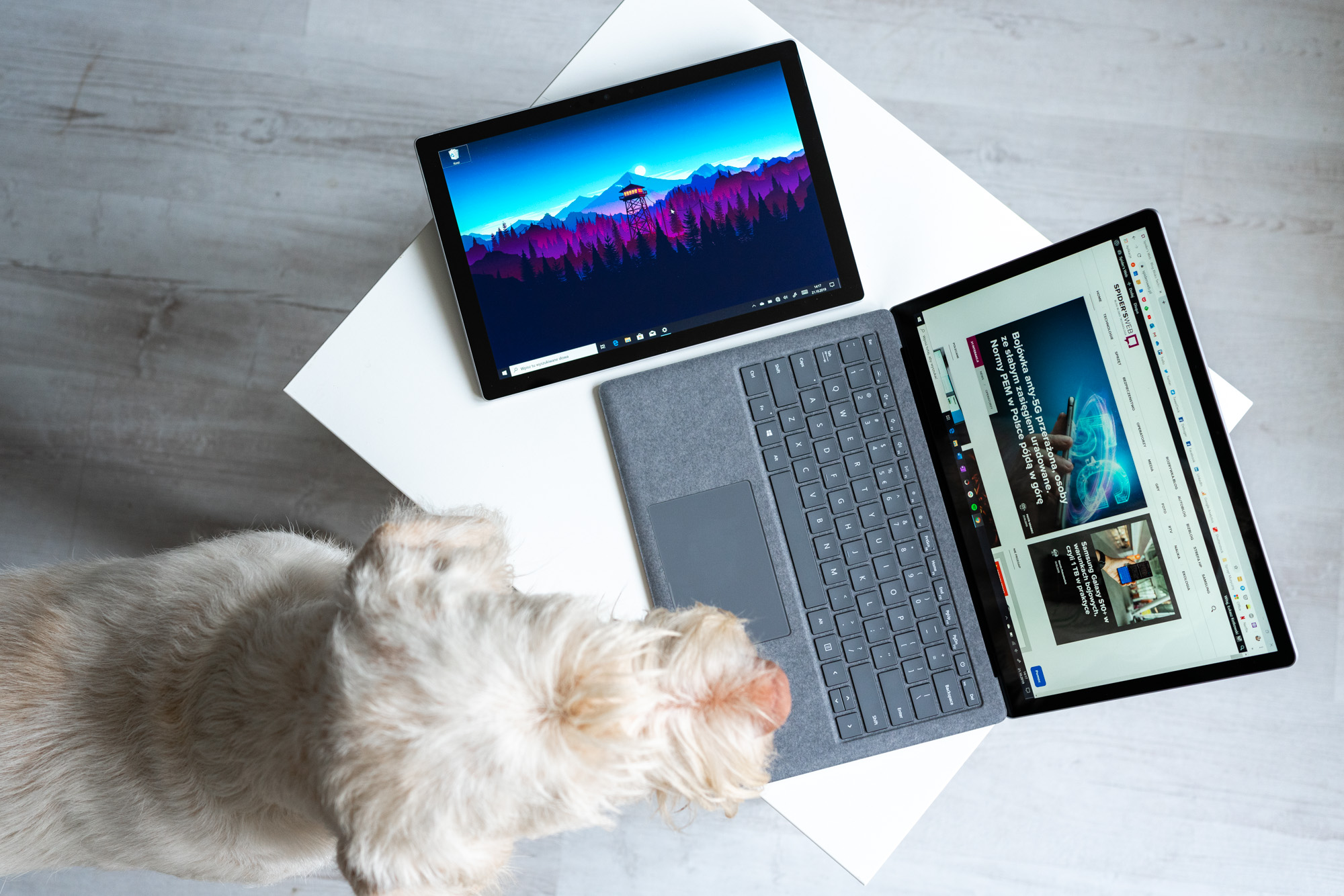 Kiedy Windows 10 2004 u wszystkich? Microsoft znosi kolejne blokady