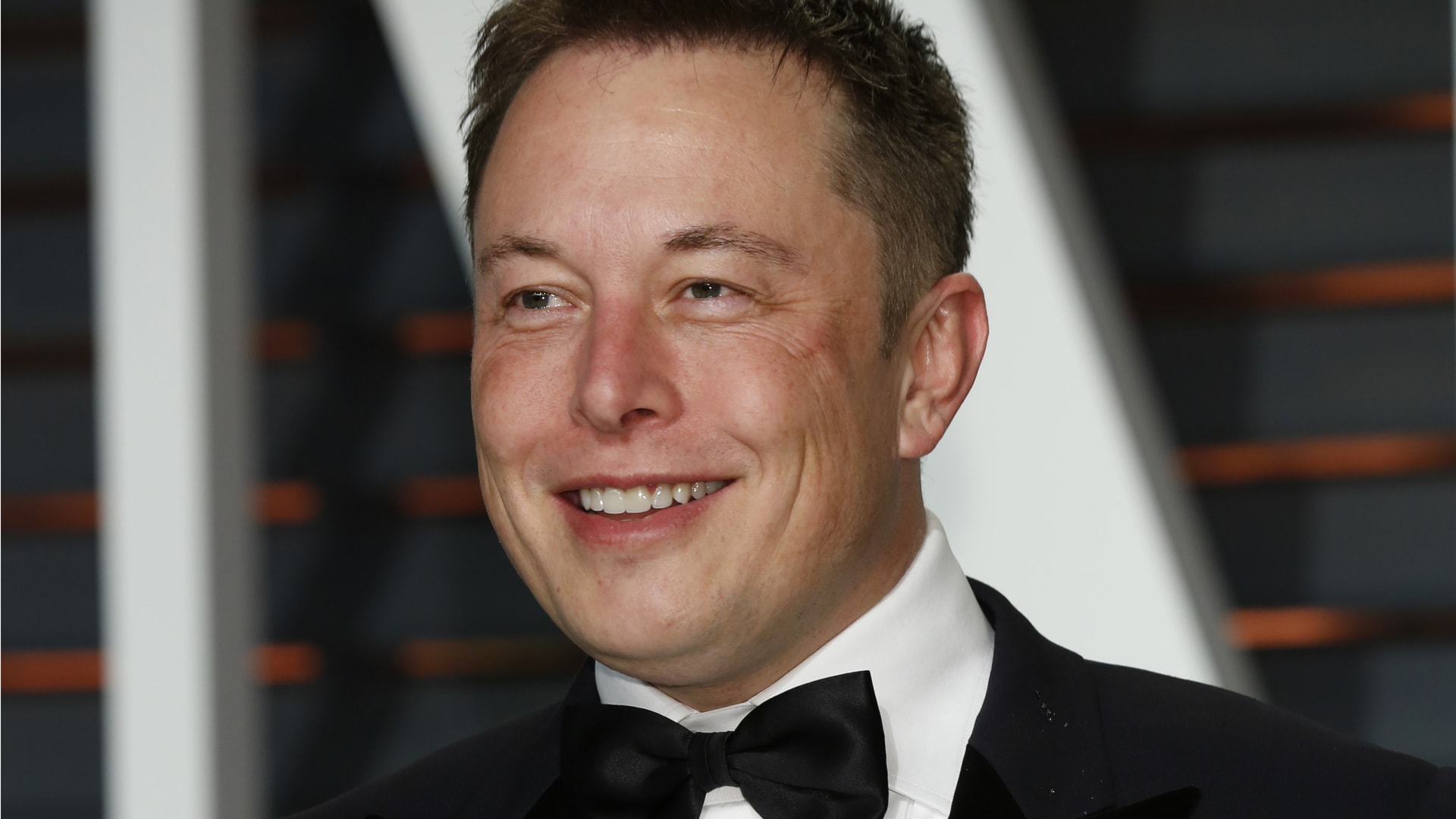 teamtrees sadzenie drzew elon musk