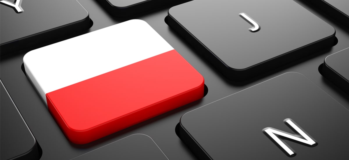 13 proc. gospodarstwie domowych nie ma dostępu do sieci