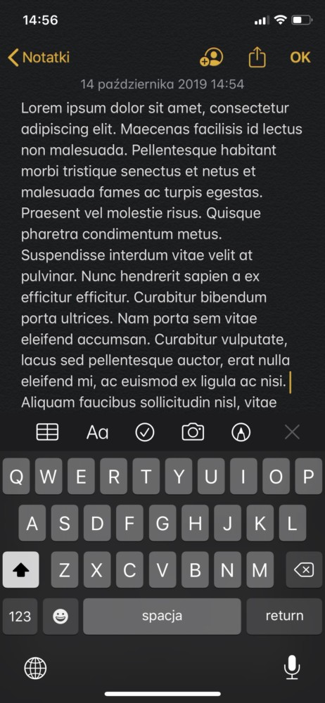 iPhone 11 Pro / XS / X