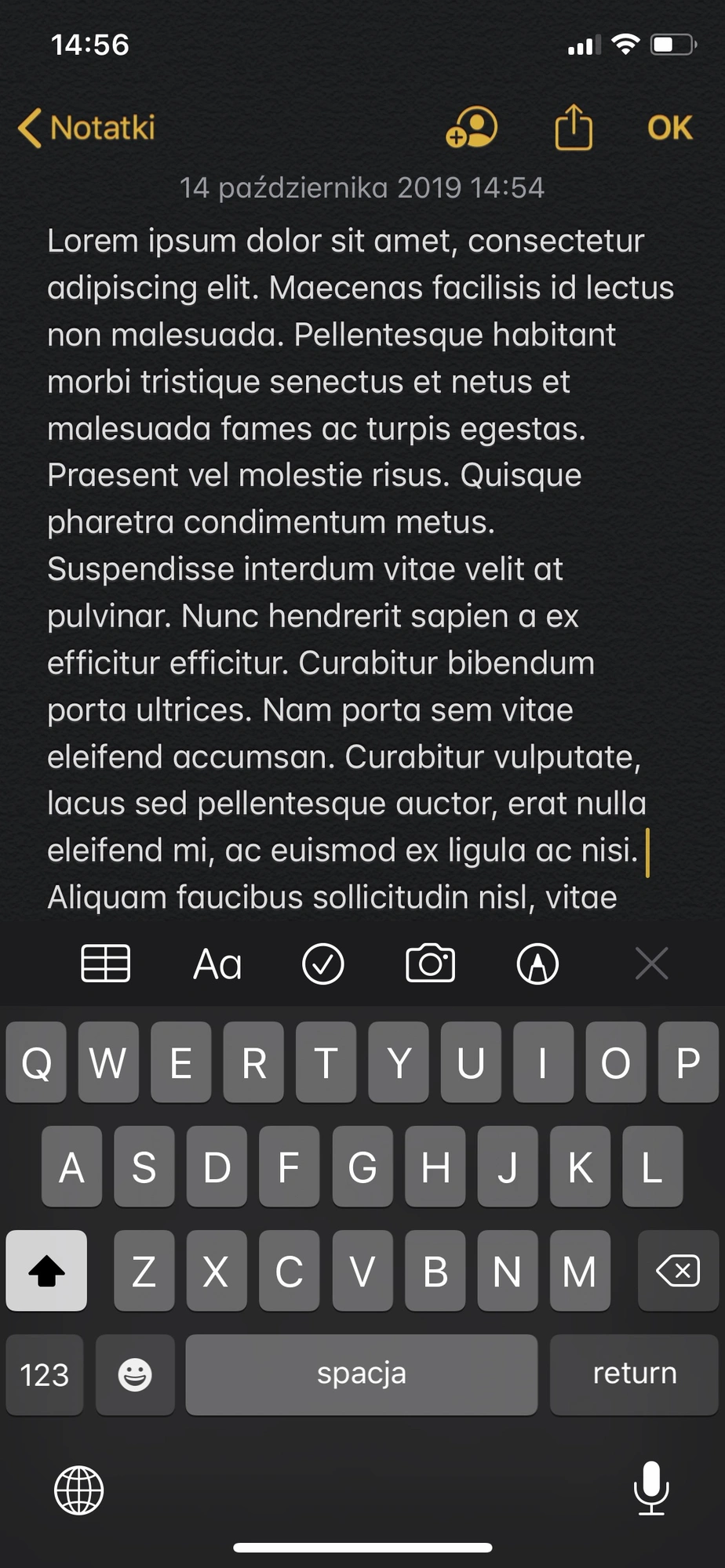 iPhone 11 Pro / XS / X