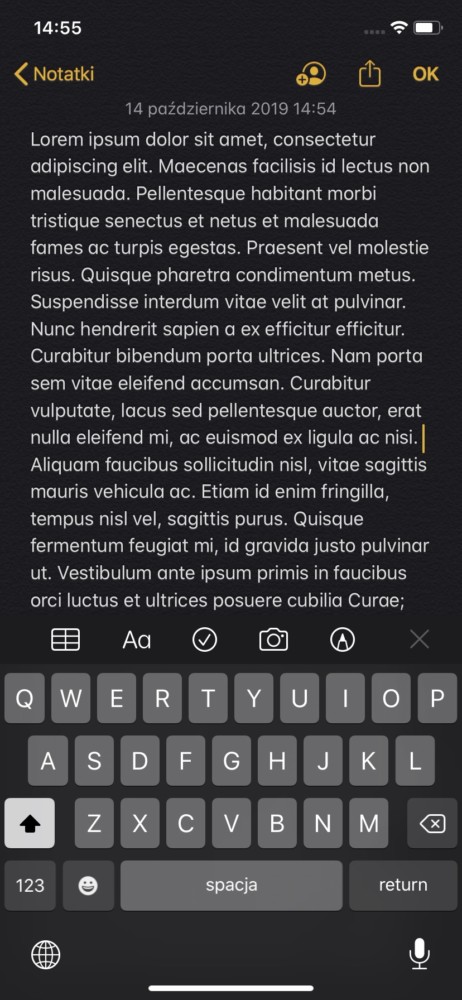 https://ocs-pl.oktawave.com/v1/AUTH_2887234e-384a-4873-8bc5-405211db13a2/spidersweb/2019/10/iphone-11-ekran-interfejs-3-462x1000.jpeg
