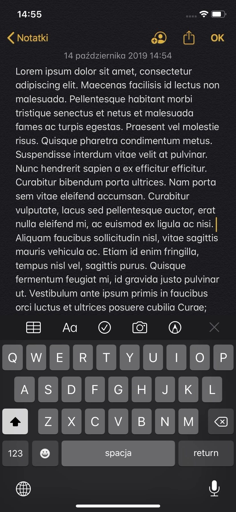 https://ocs-pl.oktawave.com/v1/AUTH_2887234e-384a-4873-8bc5-405211db13a2/spidersweb/2019/10/iphone-11-ekran-interfejs-3.jpeg