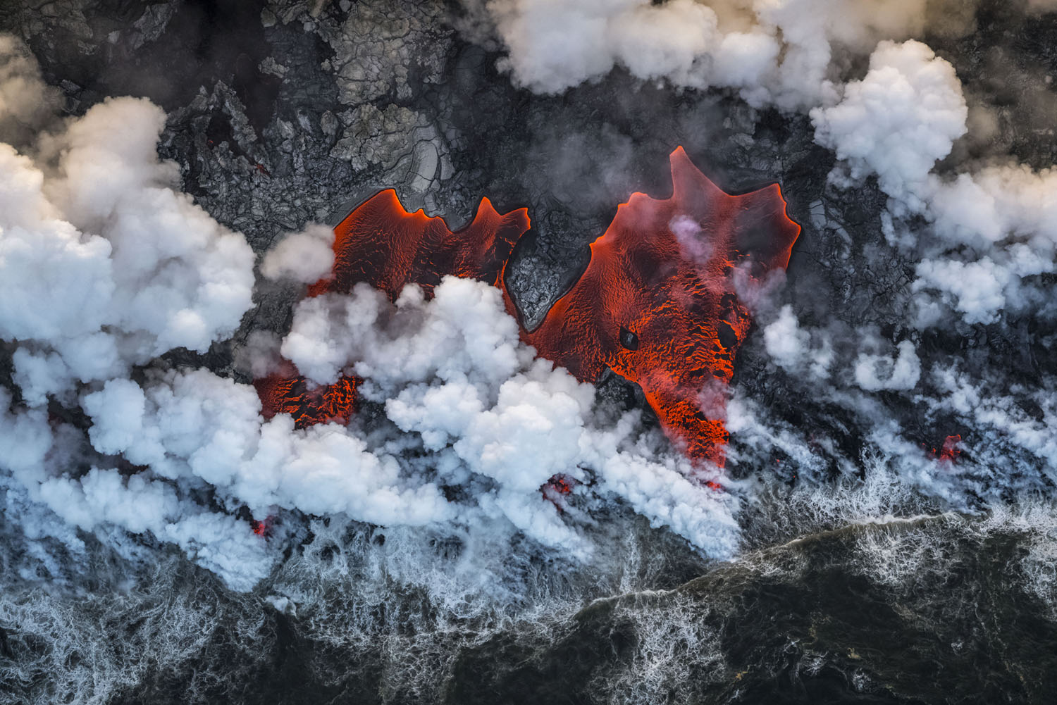 Wildlife Photographer of the Year class="wp-image-1021753" 