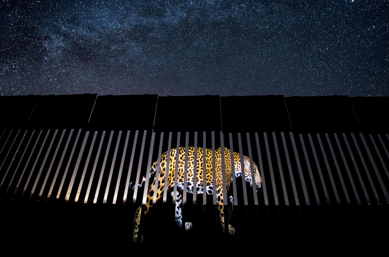 Wildlife Photographer of the Year class="wp-image-1021783" 