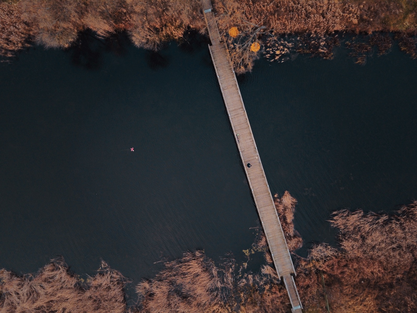 DJI Mavic Mini class="wp-image-1045820" 
