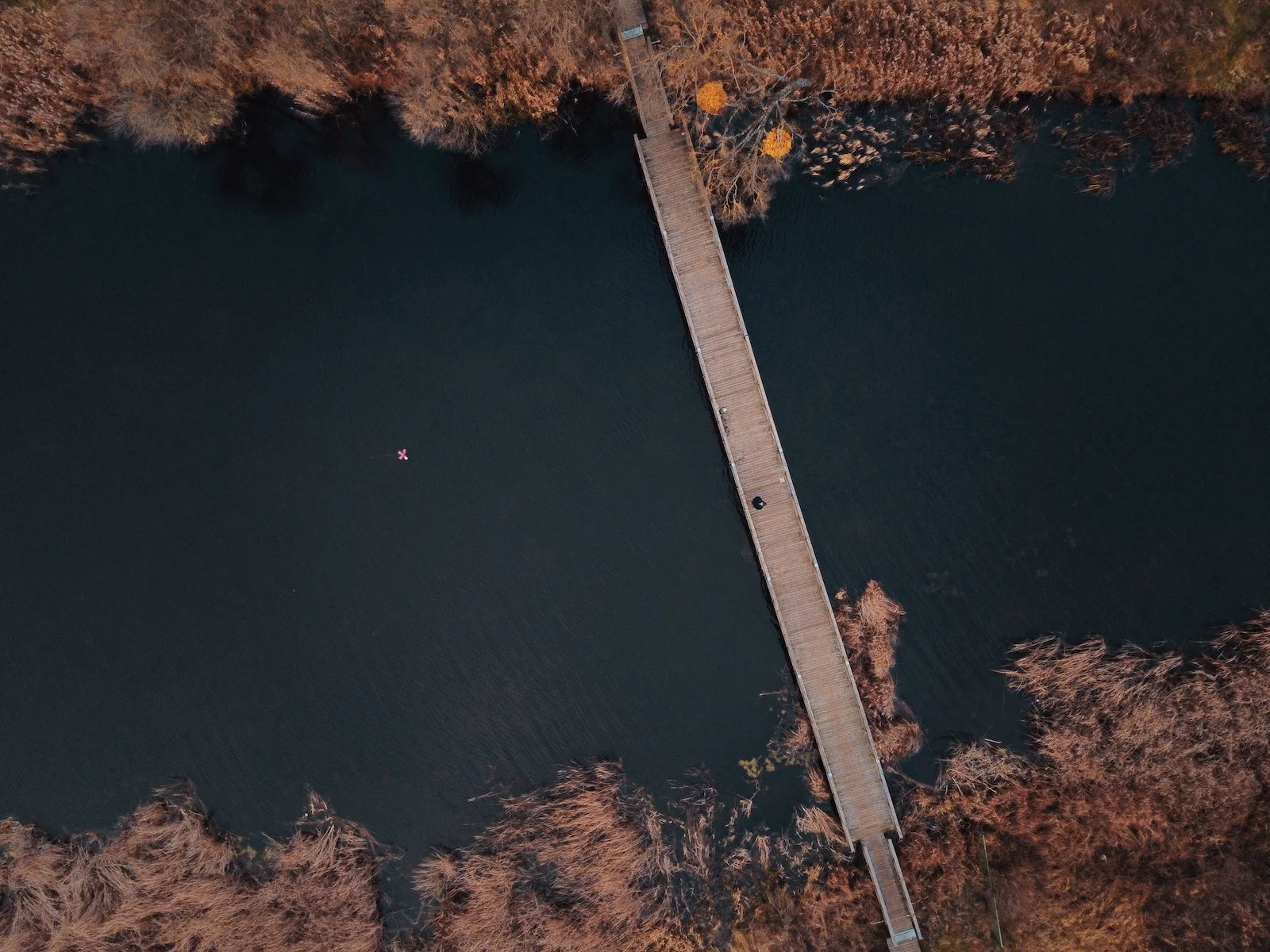 DJI Mavic Mini class="wp-image-1045820"