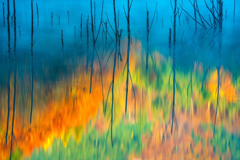 Fot. Gheorghe Popa (Rumania) &quot;Cuejdel my lake&quot;, zwycięzca w kat. Fred Hazelhoff Portfolio Award class="wp-image-1041233" 