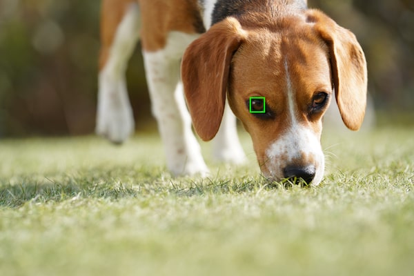 sony ai eye af class="wp-image-1048135" 