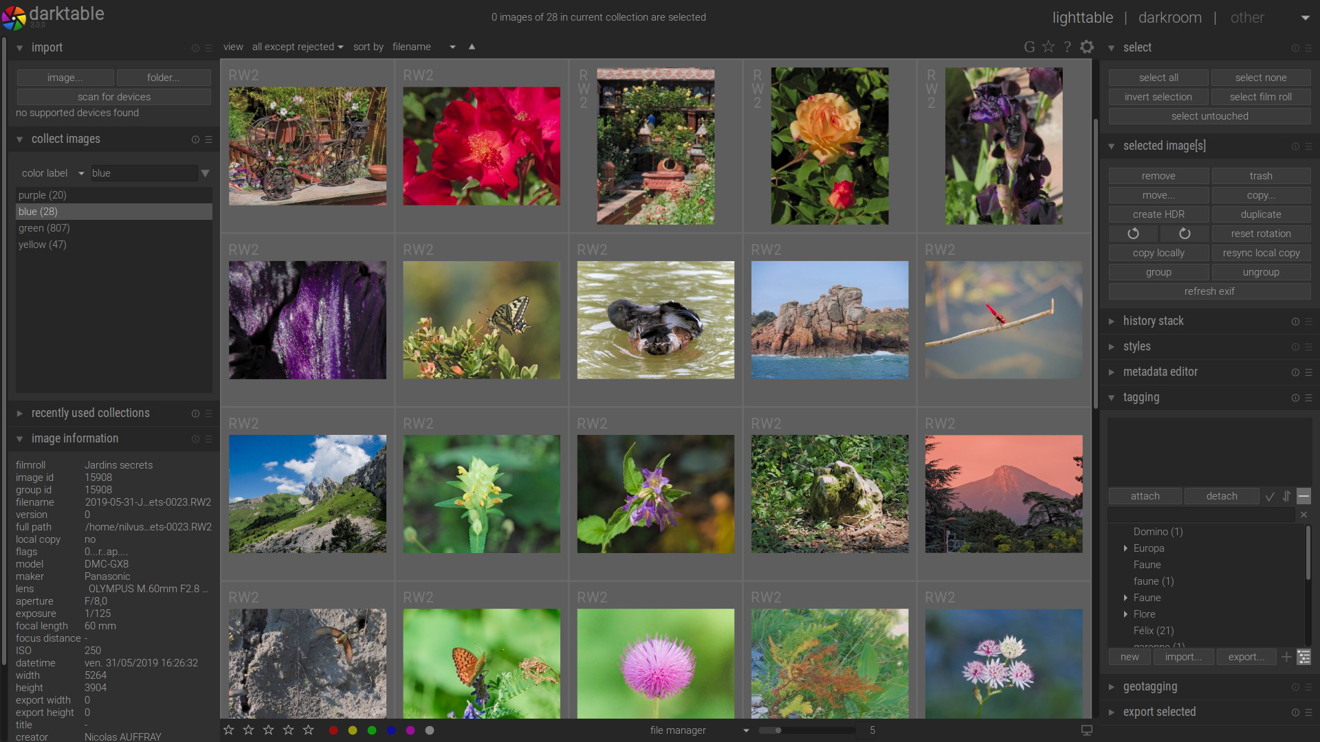 darktable 3 class="wp-image-1064349" 