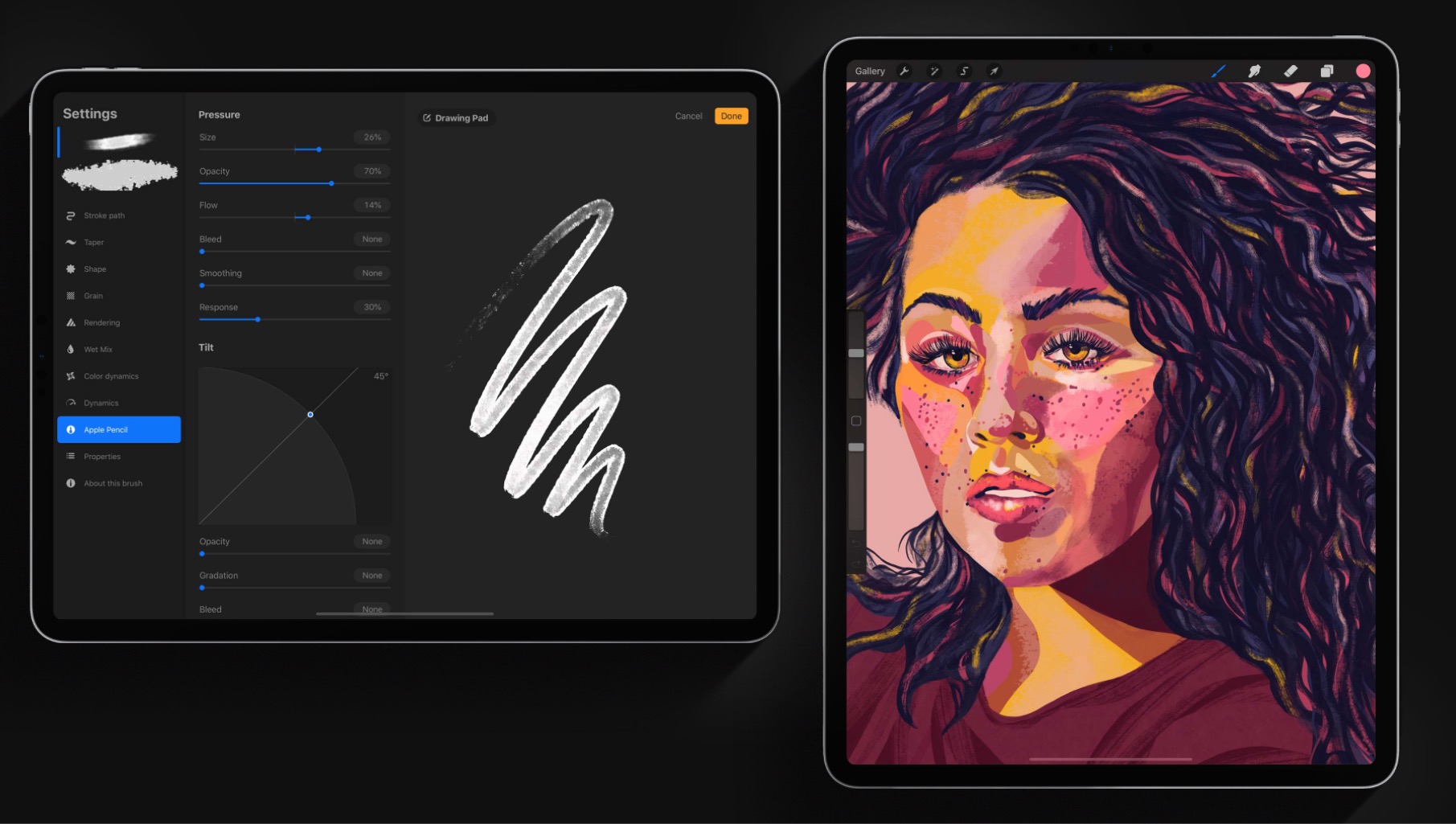 procreate 5 ipad class="wp-image-1053652" 