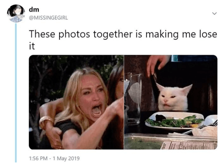 Woman yelling at a cat mem class="wp-image-1064190"