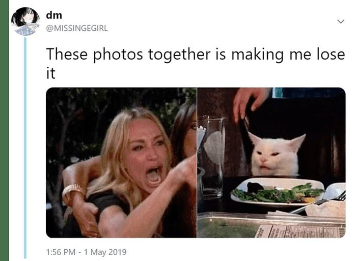 Woman yelling at a cat mem class="wp-image-1064190"