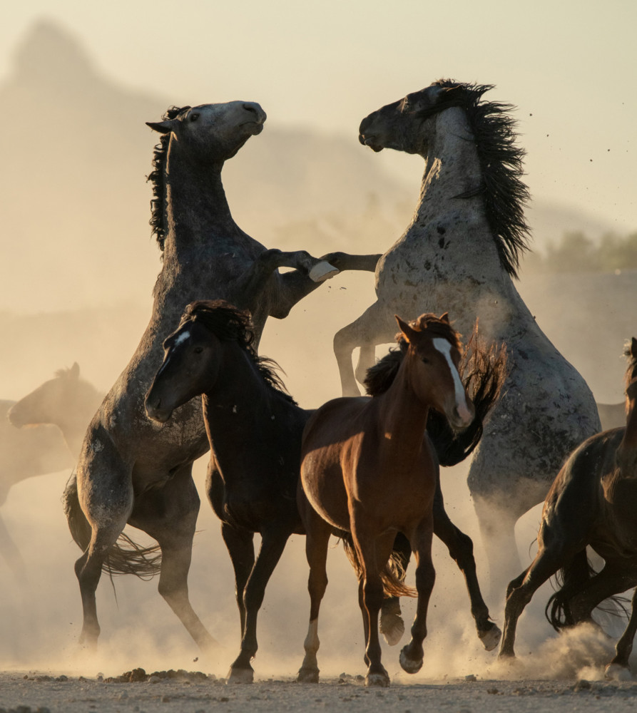 Fot. Brian Clopp / tpoty.com 