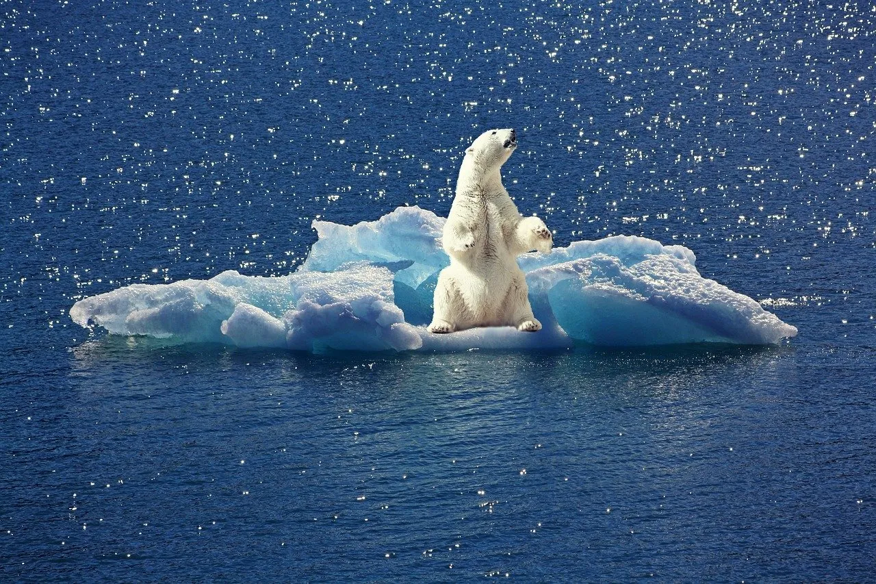 class="wp-image-1088817"