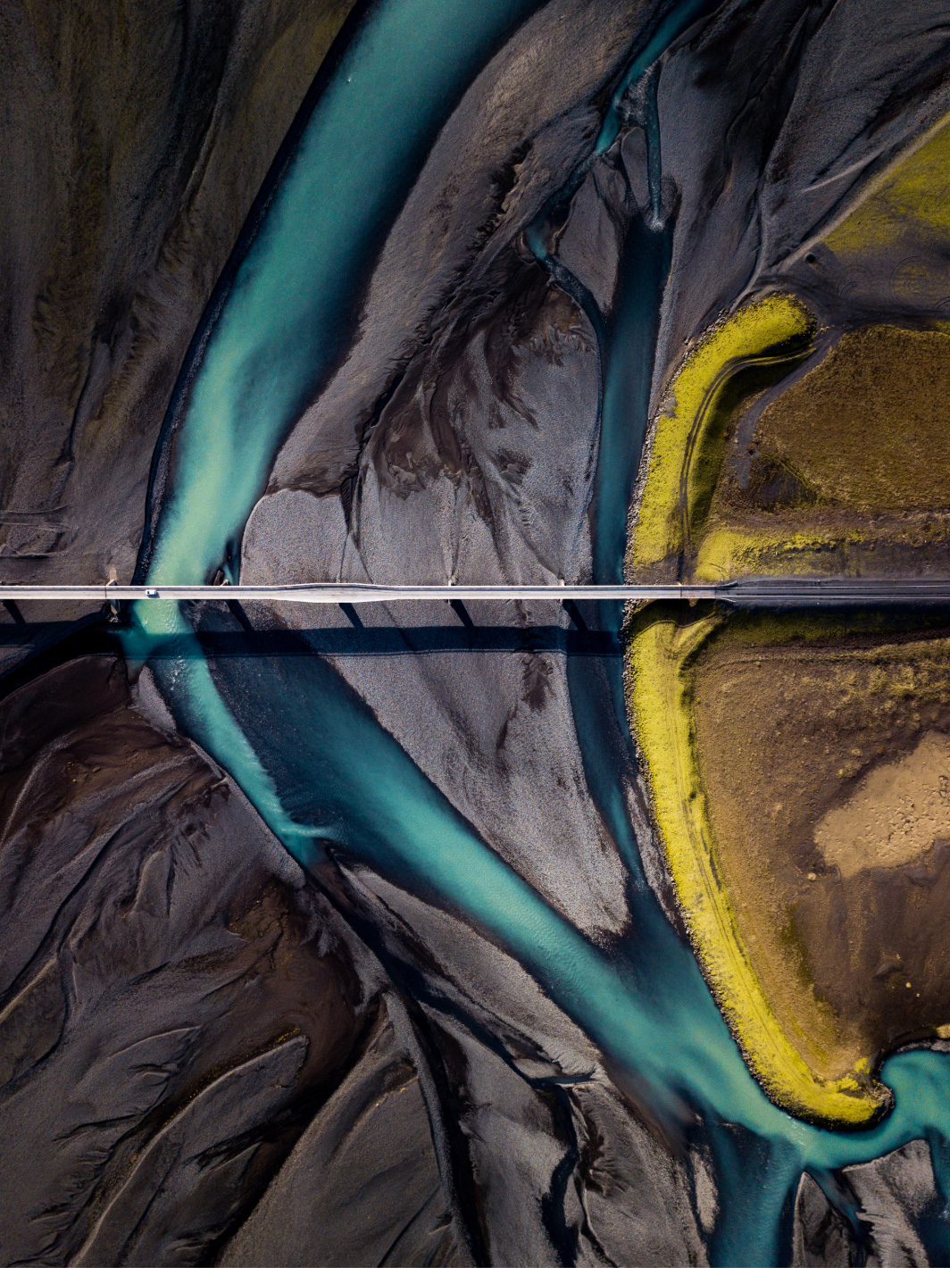 Finalista: 'Coexistence', fot. Dipanjan Pal (Indie)