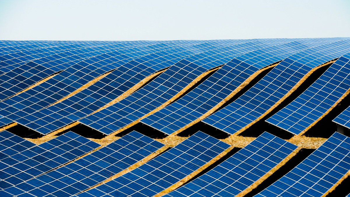 Zielona energia tańsza o 50% niż zakładano jeszcze kilka lat temu