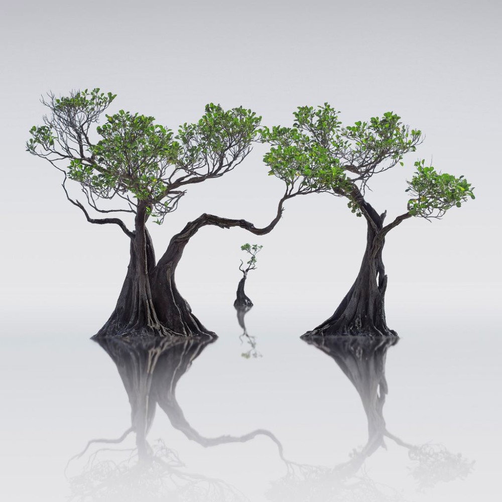 The International Landscape Photographer of the Year 2019 class="wp-image-1097942" 