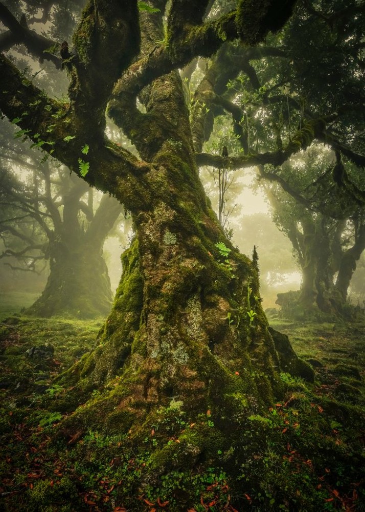 The International Landscape Photographer of the Year 2019 class="wp-image-1097951" 