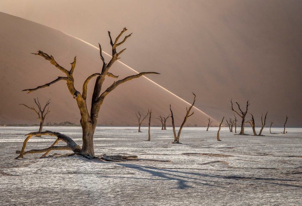The International Landscape Photographer of the Year 2019 class="wp-image-1097933" 