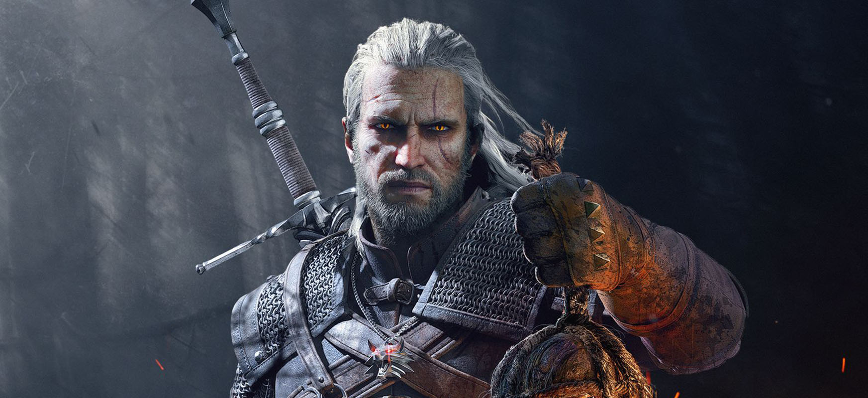 The Witcher Goodies Collection
