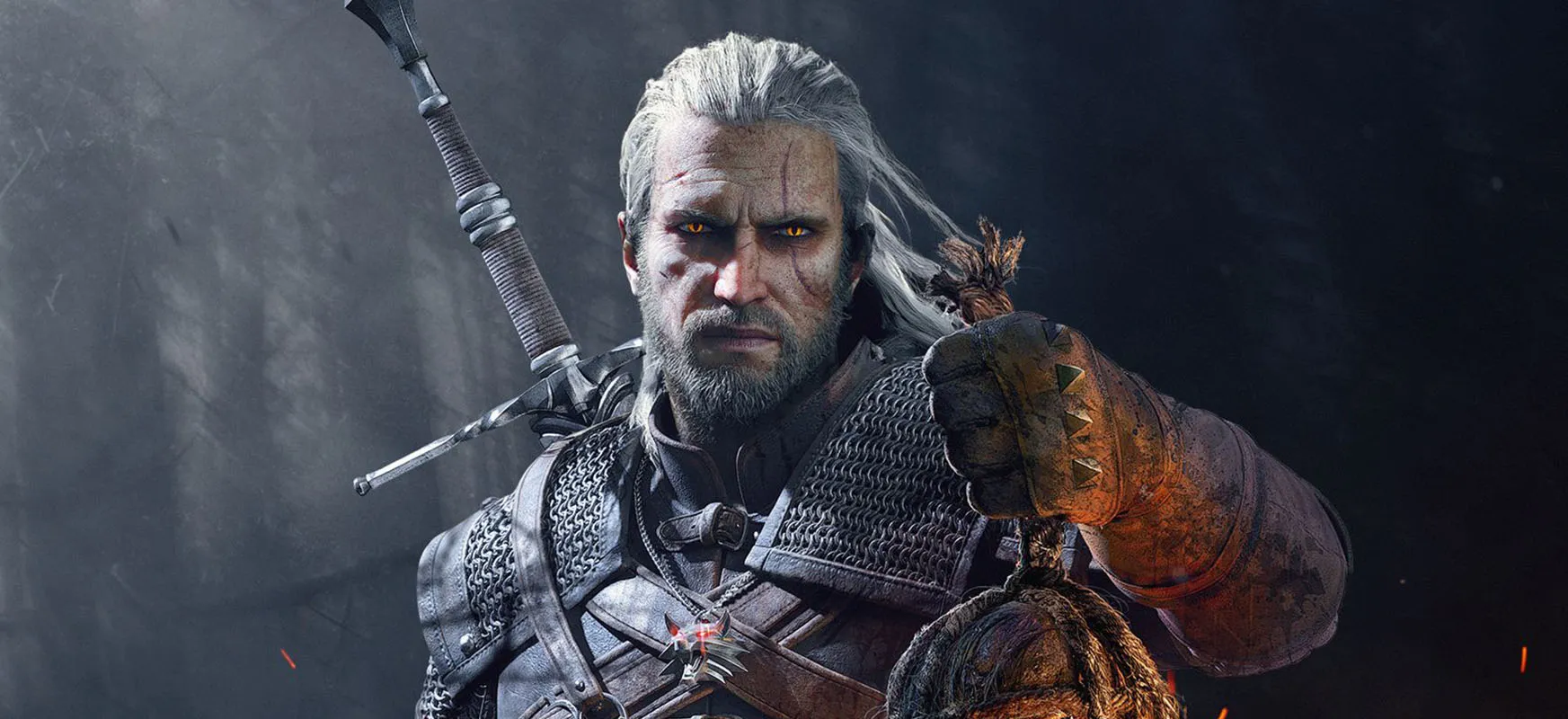 The Witcher Goodies Collection