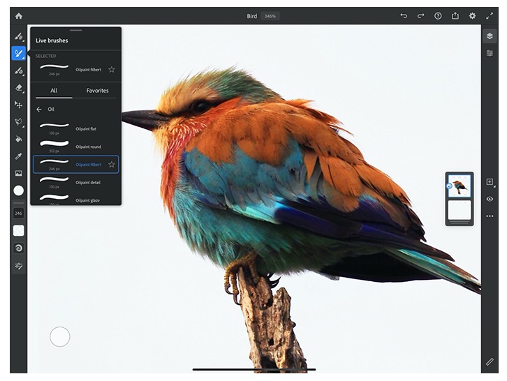adobe fresco class="wp-image-1131772" 