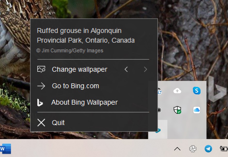 bing tapeta windows class="wp-image-1129363" 